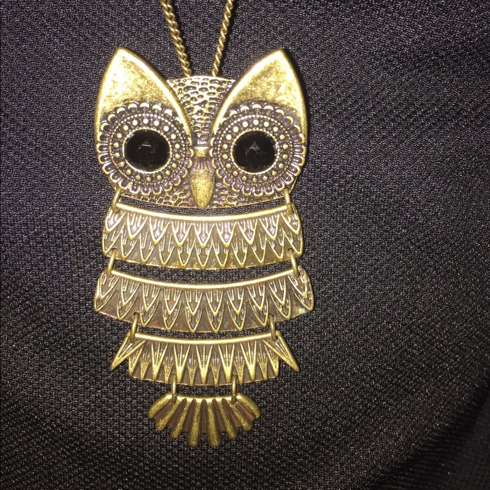 Beautiful Long chain necklace 🦉